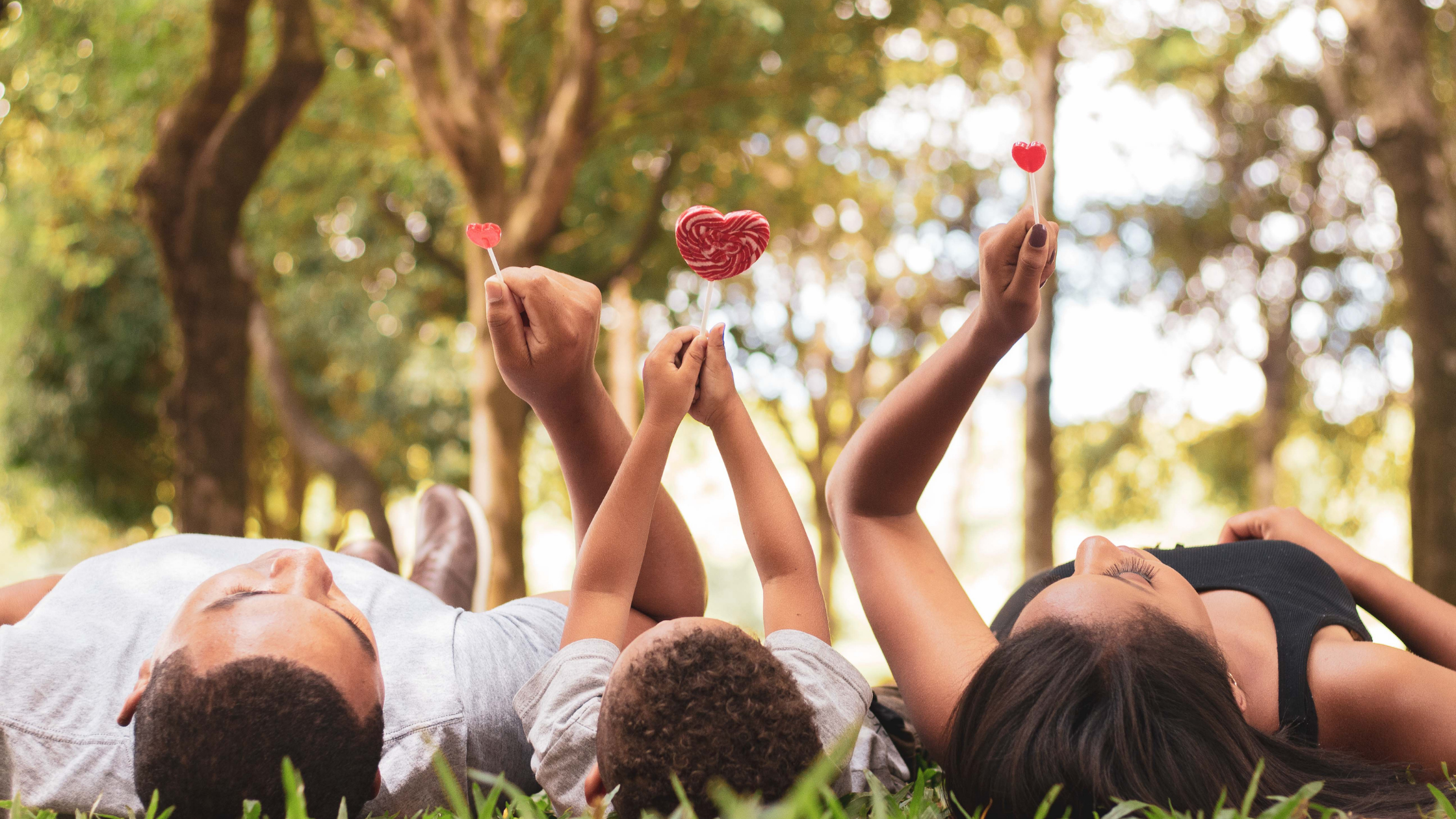 Integrative Attachment Family Therapy: Level 2