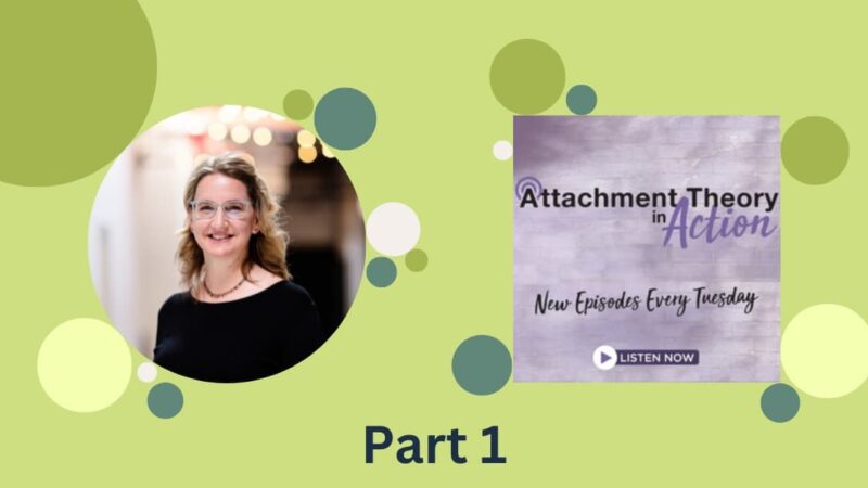 Integrative Attachment Family Therapy - Part 1