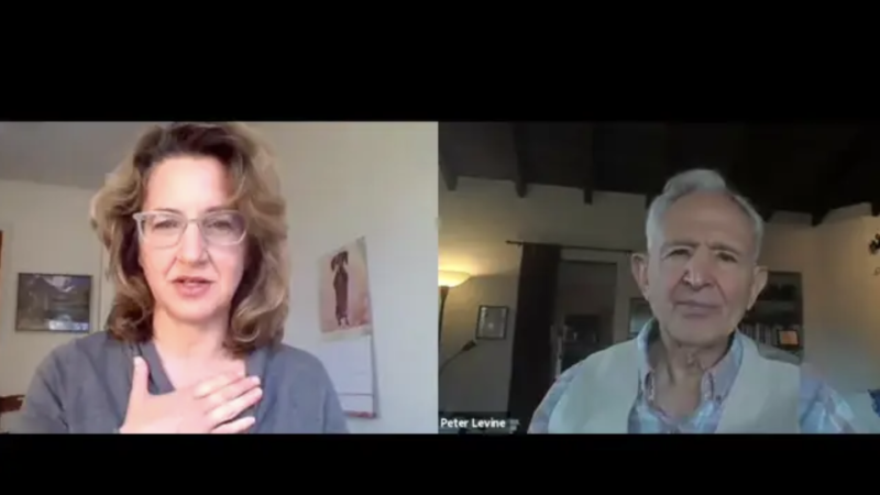 Peter Levine & Dafna Lender Webinar