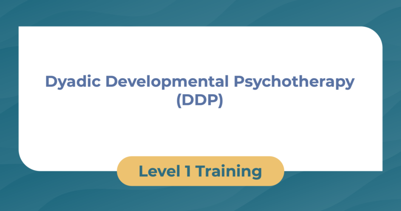 DDP Level 1