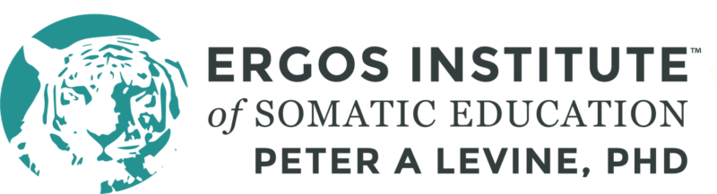 Ergos Logo clear 2020